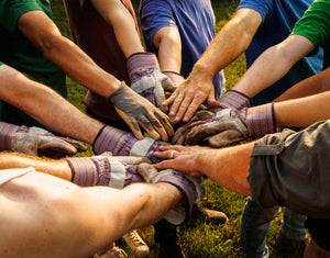 GoodGrove-web-base.jpg__PID:b8780e7d-a097-4722-9f99-6c6f2a2faad1