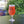Load image into Gallery viewer, Tulip Glass