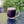 Load image into Gallery viewer, 18oz Big Grove Tubinger