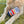 Load image into Gallery viewer, Citrus Surfer Dog Toy