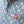 Load image into Gallery viewer, Hopcorn Button Up