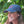 Load image into Gallery viewer, Navy Polka Dot Dad Hat