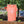 Load image into Gallery viewer, Colorful Rooted Logo Tee