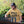 Load image into Gallery viewer, Wish You Were Beer - Yellow