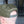 Load image into Gallery viewer, Color TV Hat