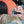 Load image into Gallery viewer, Citrus Surfer 7 Panel Hat