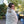 Load image into Gallery viewer, Embroidered Hopcorn Fleece Blanket