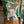 Load image into Gallery viewer, Spent Grain Dog Treats