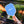Load image into Gallery viewer, Pickleball Paddle