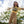 Load image into Gallery viewer, Wish You Were Beer - Yellow