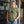 Load image into Gallery viewer, Favorite Big Grove Tee