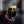 Load image into Gallery viewer, 16 oz Gold Foil Glass