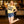 Load image into Gallery viewer, Wish You Were Beer - Yellow