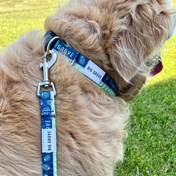 BGB Dog Collar