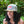 Load image into Gallery viewer, Mesh Citrus Surfer Patch Hat
