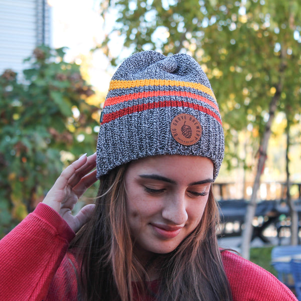 Striped Knit Beanie