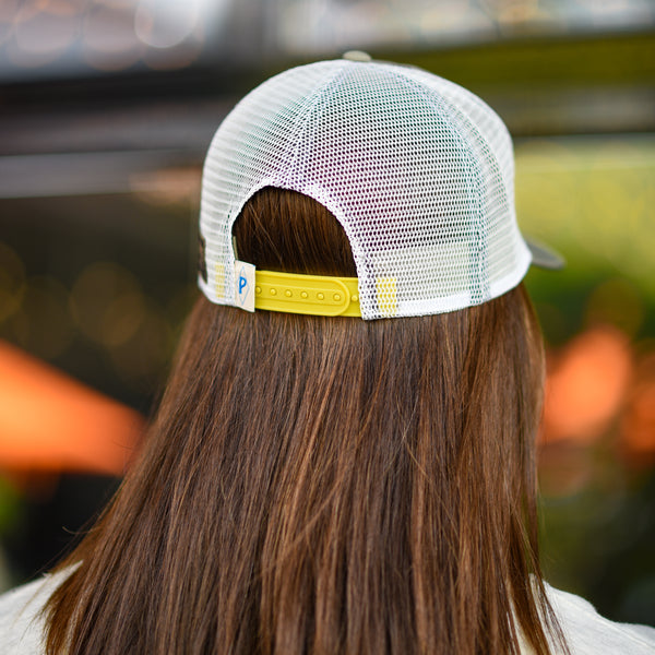 Patagonia Trucker Hat