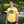 Load image into Gallery viewer, Here for the Beer Tee
