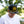 Load image into Gallery viewer, Fry Hat
