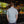 Load image into Gallery viewer, Hopcorn Button Up
