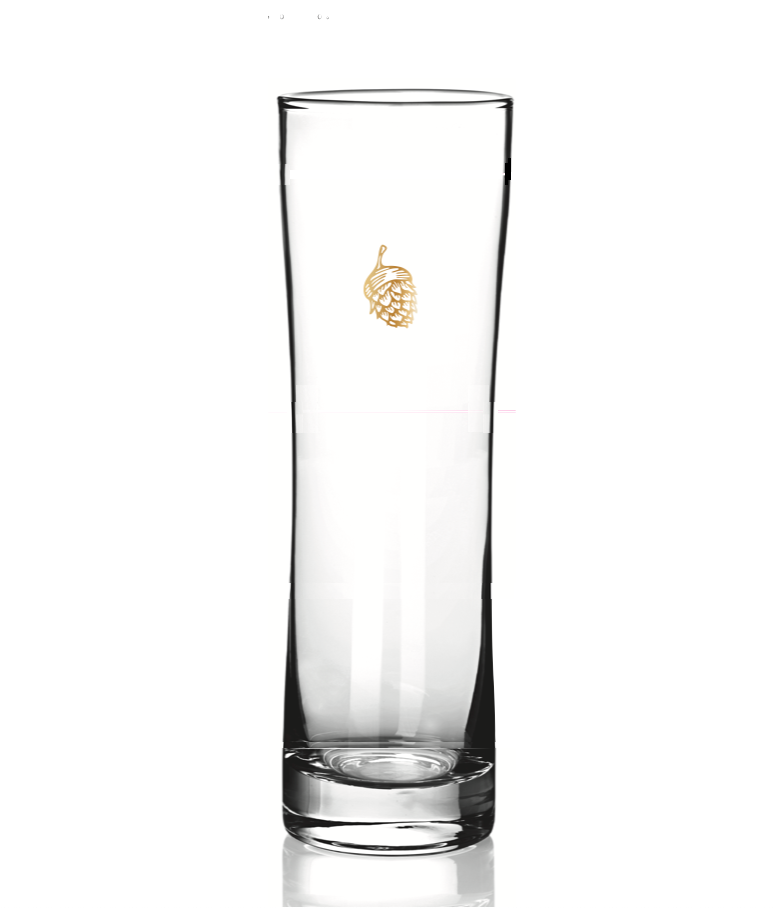 17oz Gold Sinus Hopcorn Glass