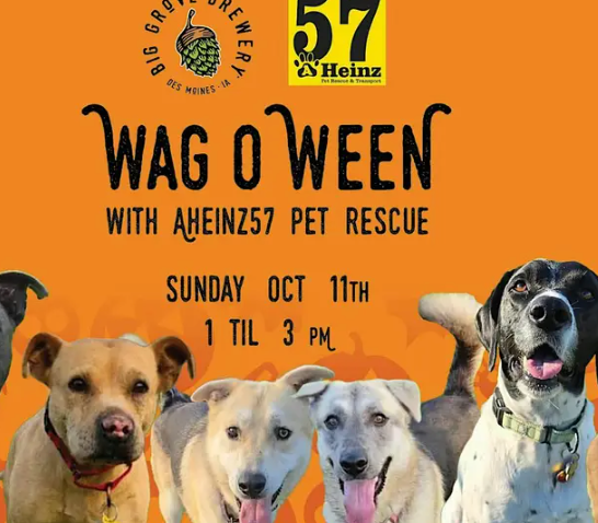 Wag-o-Ween with AHeinz57 Pet Rescue