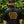 Load image into Gallery viewer, Tigerhawk Brewer Shirt
