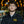 Load image into Gallery viewer, Tigerhawk Polo

