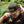 Load image into Gallery viewer, Tigerhawk Fry Hat
